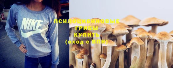 дурь Дмитров