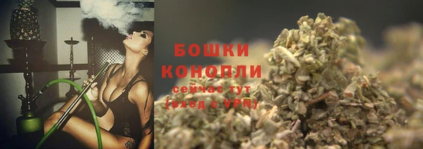 первитин Дмитриев