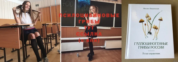 хмурый Дмитровск