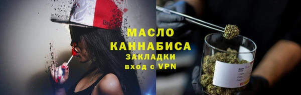 хмурый Дмитровск