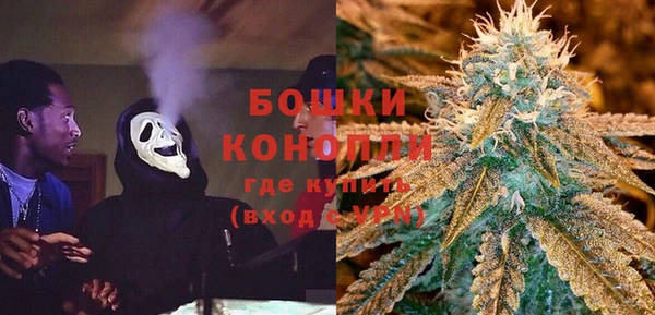 хмурый Дмитровск