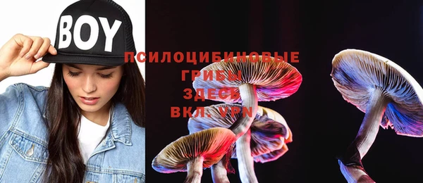 дурь Дмитров