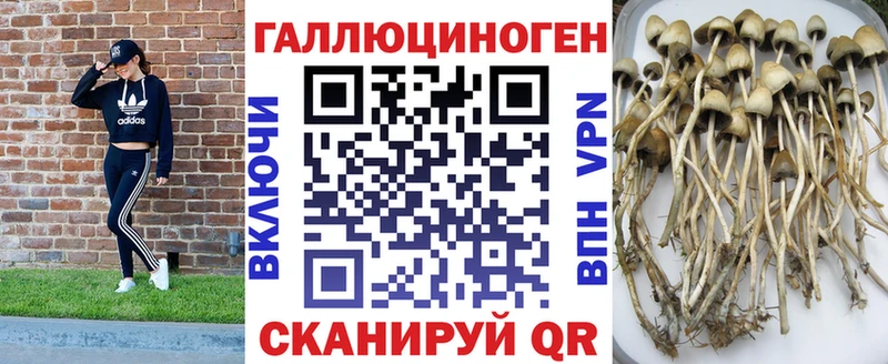 Купить закладки  Пласт  Галлюциногенные грибы MAGIC MUSHROOMS 